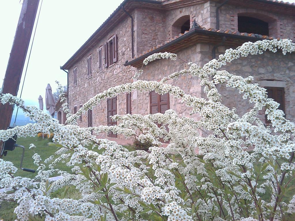 Agriturismo Il Poggiolo Montemerano Exteriör bild