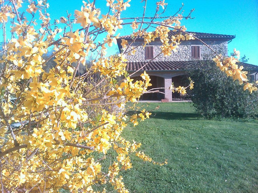 Agriturismo Il Poggiolo Montemerano Exteriör bild